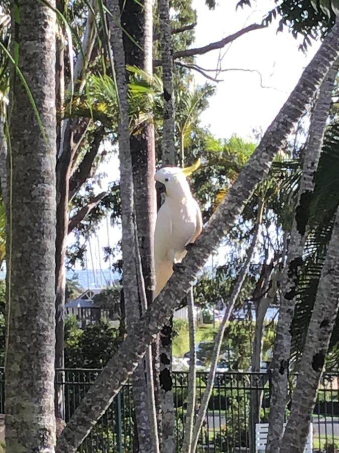 Colonial Palms Motor Inn Airlie Beach Bagian luar foto