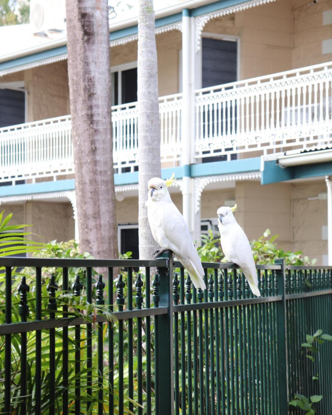 Colonial Palms Motor Inn Airlie Beach Bagian luar foto